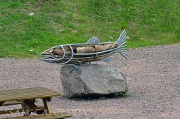 2013_07_11_Schottland_058