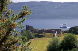 2013_07_11_Schottland_085