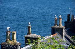 2013_07_11_Schottland_103