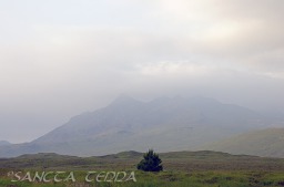 2013_07_11_Schottland_124