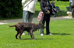 2014_05_01_Amsterdam_013