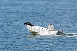 2014_06_10_Schweden_011