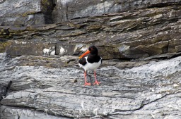 2014_06_10_Schweden_014