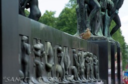 2014_06_10_Schweden_019