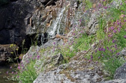 2014_06_10_Schweden_042