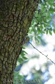 2014_06_10_Schweden_045