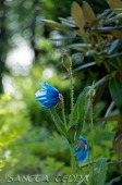 2014_06_10_Schweden_047