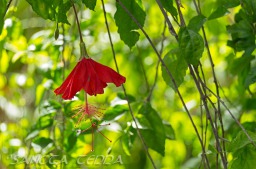 2014_06_10_Schweden_051