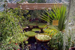 2014_06_10_Schweden_052