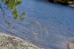 2014_06_10_Schweden_069