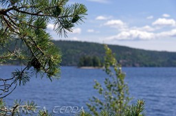 2014_06_10_Schweden_070