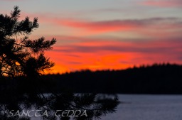 2014_06_10_Schweden_075