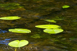 2014_06_10_Schweden_086