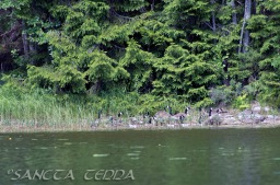 2014_06_10_Schweden_091