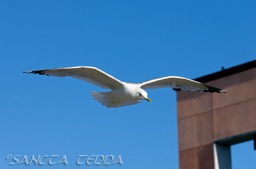 2014_06_10_Schweden_094