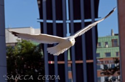 2014_06_10_Schweden_095
