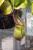 2014_06_10_Schweden_105