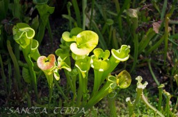 2014_06_10_Schweden_107