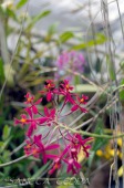 2014_06_10_Schweden_108