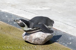2014_06_10_Schweden_127