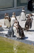 2014_06_10_Schweden_128