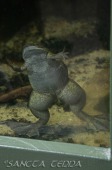 2015_05_28_Zoo_Emmen_001