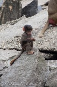 2015_05_28_Zoo_Emmen_010
