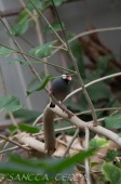 2015_05_28_Zoo_Emmen_019