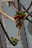 2015_05_28_Zoo_Emmen_023