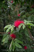 2015_05_28_Zoo_Emmen_026