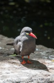 2015_05_28_Zoo_Emmen_061
