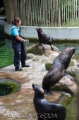 2015_05_28_Zoo_Emmen_067