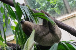 2015_05_28_Zoo_Emmen_069