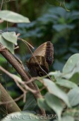 2015_05_28_Zoo_Emmen_081