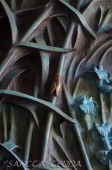 2015_07_08_Barcelona_023