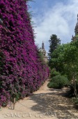 2015_07_08_Barcelona_098