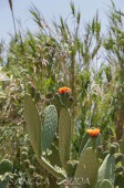 2015_07_08_Barcelona_106