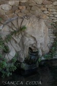 2015_07_08_Barcelona_113