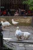 2015_07_08_Barcelona_115