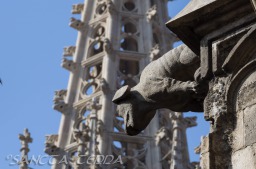 2015_07_08_Barcelona_120