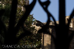 2015_07_08_Barcelona_121