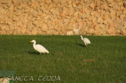 2015_11_20_Kuba_160