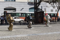 2015_11_20_Kuba_213
