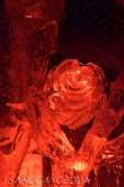 2018_12_29_Eisskulpturen_Zwolle_007