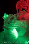 2018_12_29_Eisskulpturen_Zwolle_019