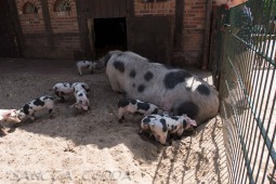 2019_04_24_Tierpark_Nordhorn_014