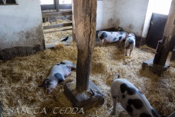 2019_04_24_Tierpark_Nordhorn_016