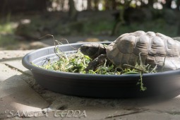2019_04_24_Tierpark_Nordhorn_028