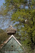 2019_04_24_Tierpark_Nordhorn_032
