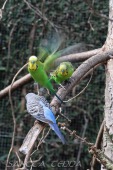 2019_04_24_Tierpark_Nordhorn_037